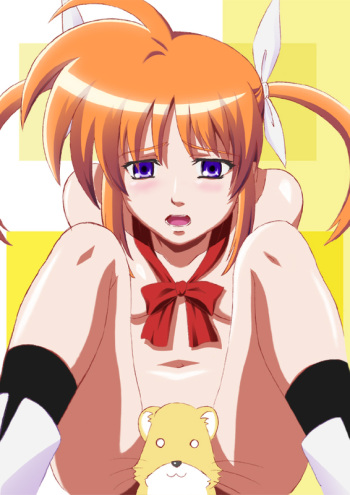[Fukayama Akira] Doujin 1 (Mahou Shoujo Lyrical Nanoha) cover
