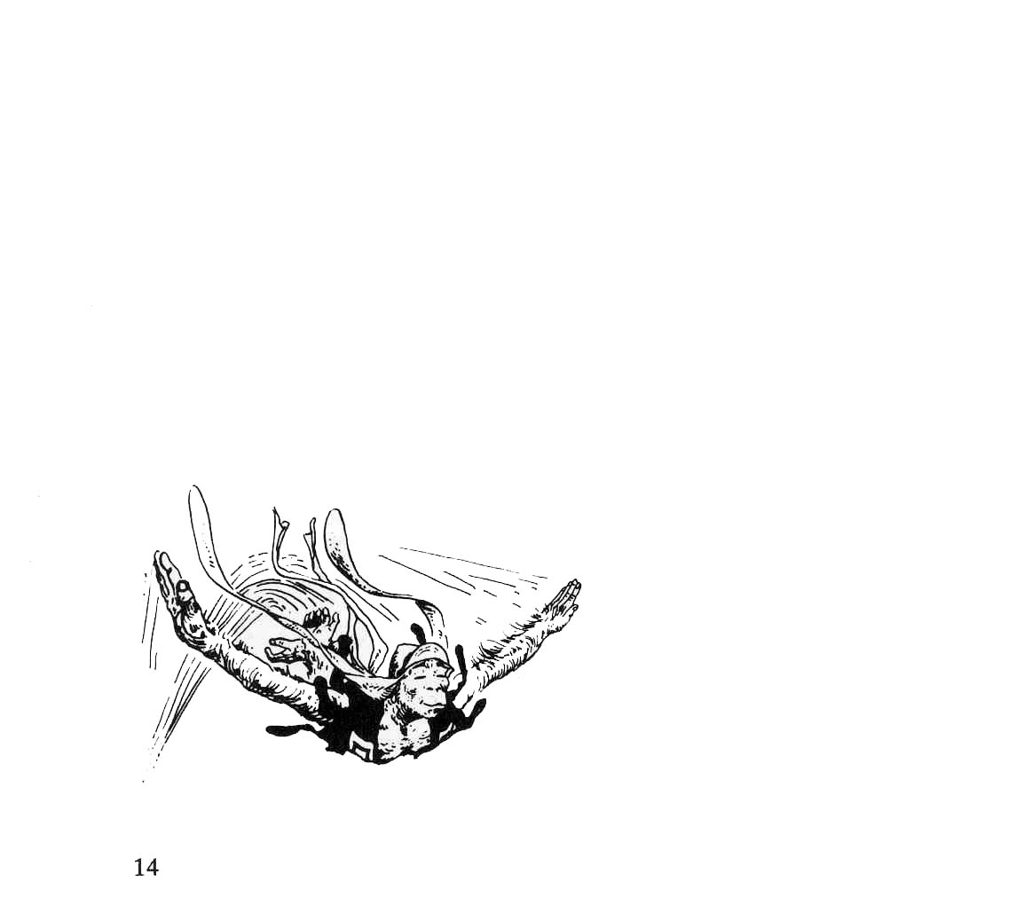 Le Singe page 11 full