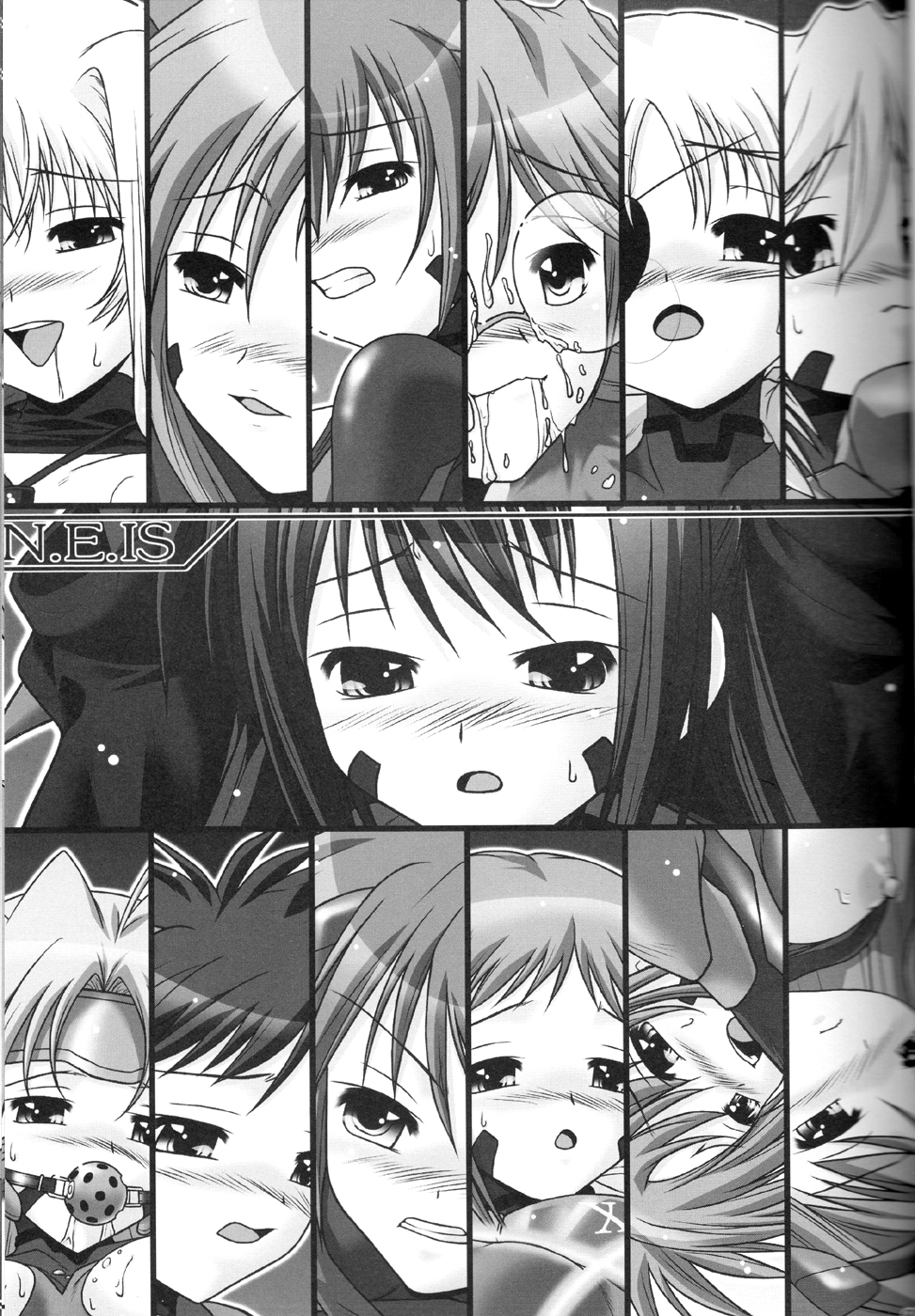 N.E.IS page 2 full