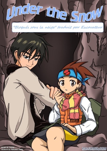 [Palcomix] Under the Snow (Megaman Battle Network) [French] cover