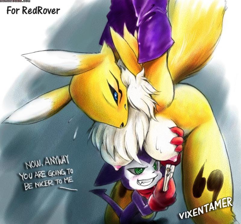 my favorite renamon pictures page 6 full
