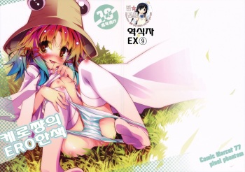 (C77) [pixel phantom (Kamiya Yuu)] Kero-Chan no Eroi Hon (Touhou Project) [Korean] [팀 면갤] cover