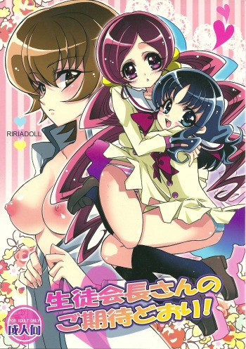 [RIRIADOLL (Takewakamaru)] Seitokaichou-san no Gokitai doori! (Heart Catch Precure!) cover