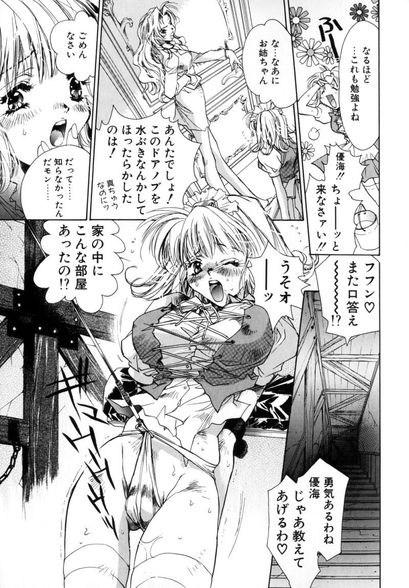 Celamic Garden page 11 full