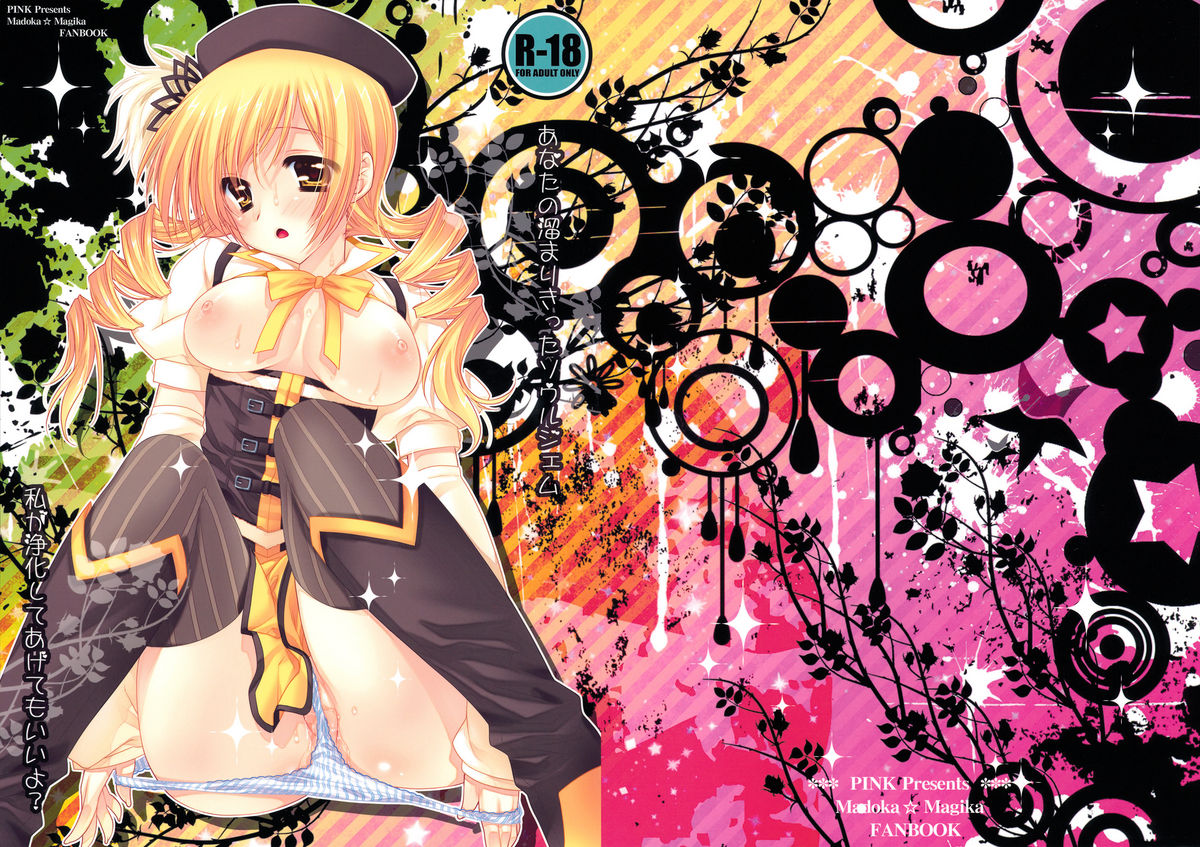Anata no Tamari Kitta Soul Gem Watashi ga Jouka Shite Agete mo ii yo? | May I Purify your Soul Gem for You   =LWB= page 1 full