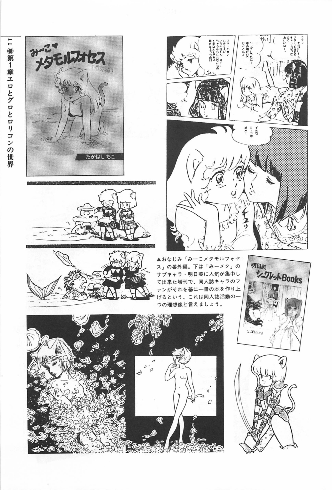 Bishoujo Shoukougun 2 page 11 full