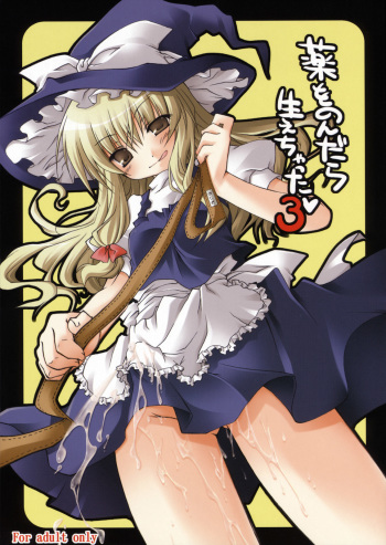 (Reitaisai 5) [Mukidou (Aomi Riru)] Kusuri wo Nondara Haechatta 3 (Touhou Project) cover