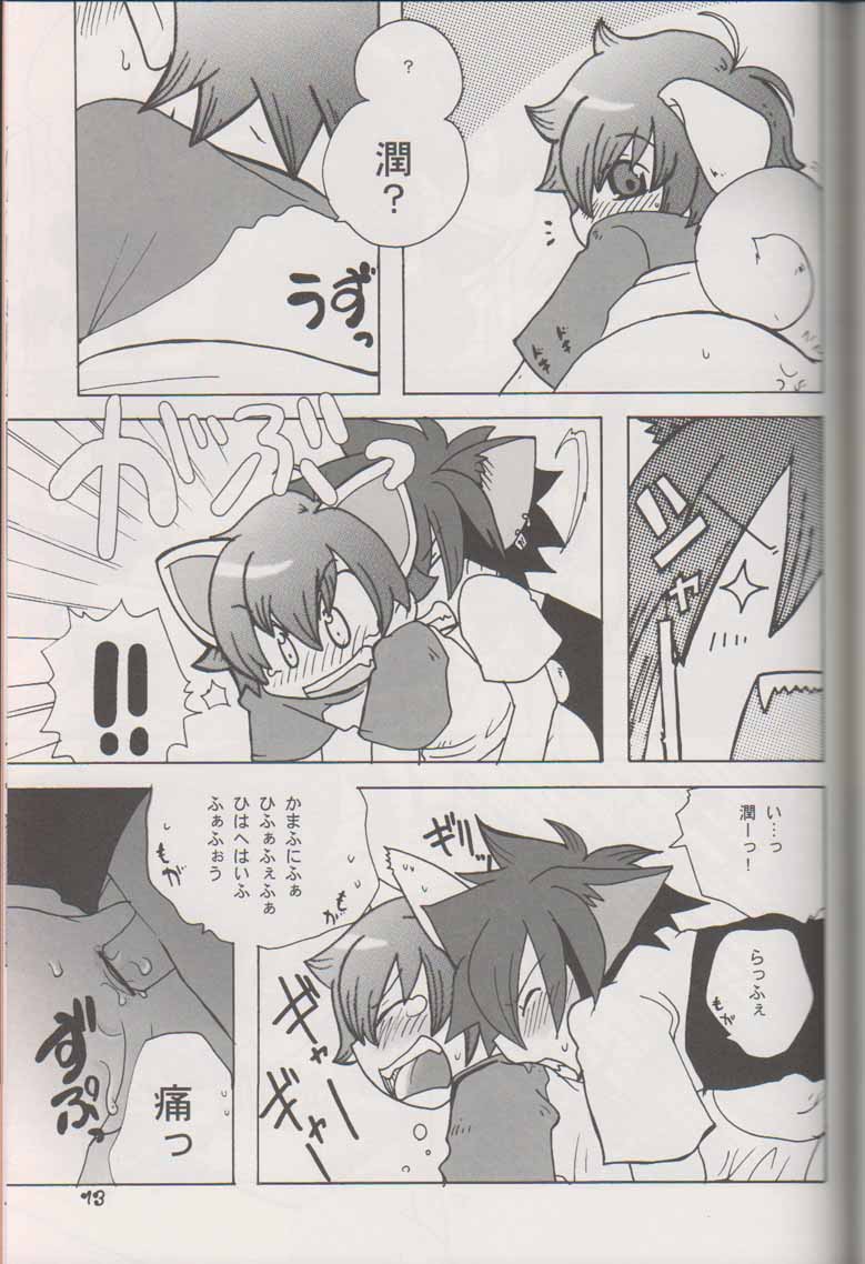 Wanko to Nyan-nyan Dekitara Ii na page 12 full