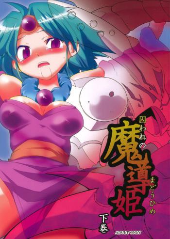 (C80) [Sugusoko (Yuma Ryouhei)] Toraware no Madouhime Gekan (Lord of Lords Ryu Knight) cover