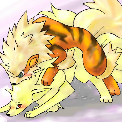 Pok&eacute;mon Arcanine page 11 full