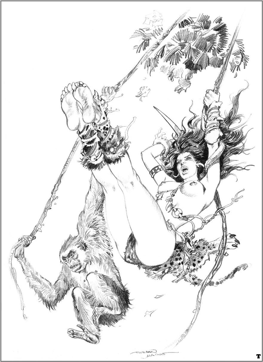 Artist - Esteban Maroto page 11 full
