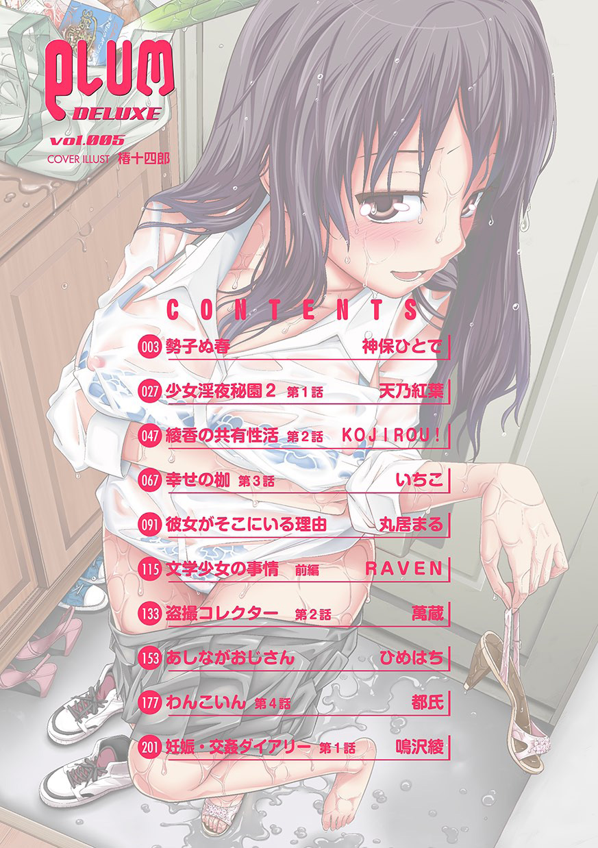 COMIC PLUM DX 05 page 3 full
