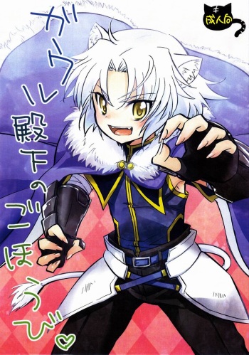 [Fuwawa (Oki no Matsushiro)] Gaul Denka no go Houbi (Dog Days) cover