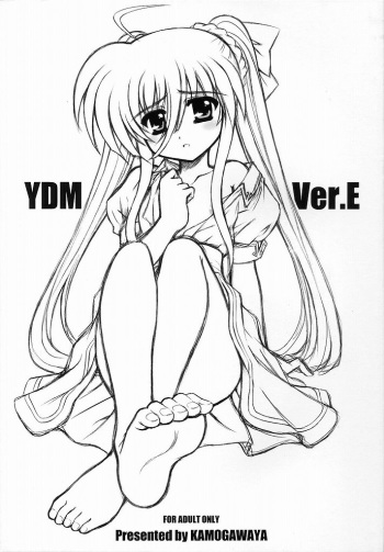 (Nanoha Party 3) [Kamogawaya (Kamogawa Tanuki)] YDM Ver.E (Mahou Shoujo Lyrical Nanoha) cover