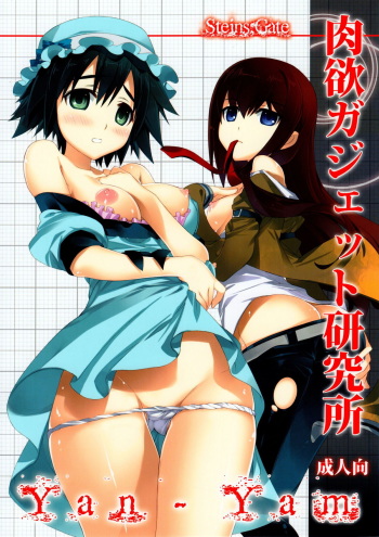 (C80) [Yan-Yam] Nikuyoku Gadget Kenkyuujo (Steins;Gate) cover