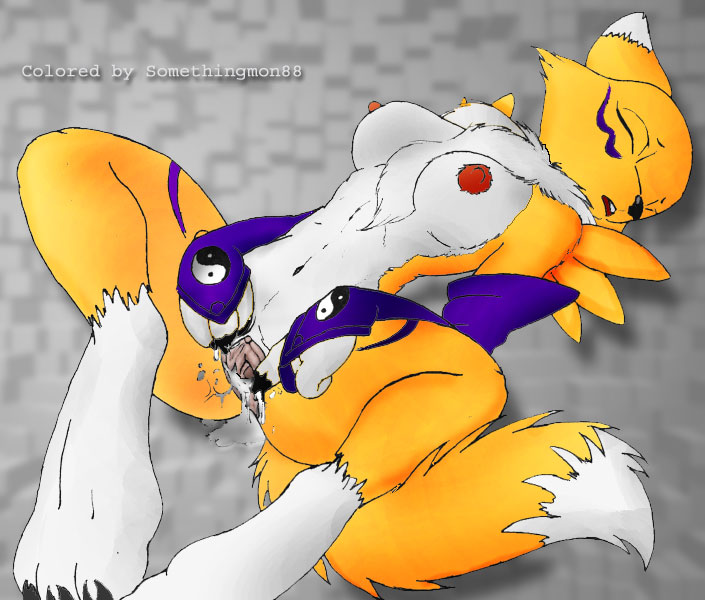 Large Renamon gallery page 10 full