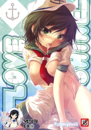 (C79) [Yumemi Gokochi (Mikage Baku)] LOVE SHINE (Touhou Project) [Korean] cover