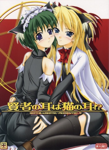 (SC37) [SEITOKAISHITSU (Akimoto Dai)] Kenja no Mimi wa Neko no Mimi!? (Quiz Magic Academy) cover