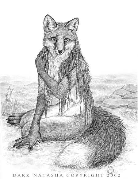 Furry Foxes page 9 full