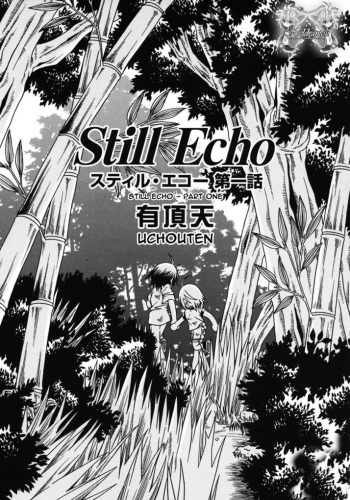 Still Echo Part 1(traducido) cover