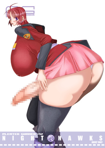 (Puniket 11) [HGH (HG Chagawa)] PLEATED GUNNER #12 (Gundam SEED DESTINY) cover