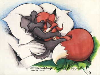 furry cover