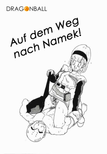 Aim at Planet Namek! (Dragon Ball Z) [German] cover