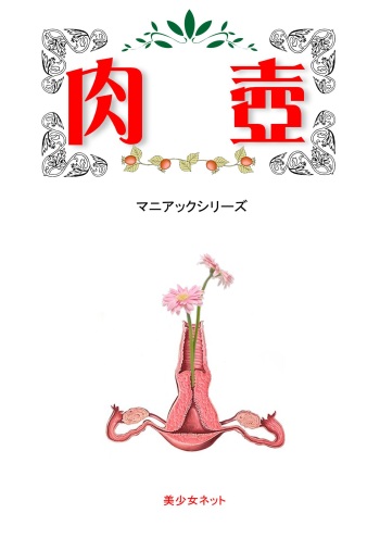 [Bishoujo Netto] Nikutsubo cover