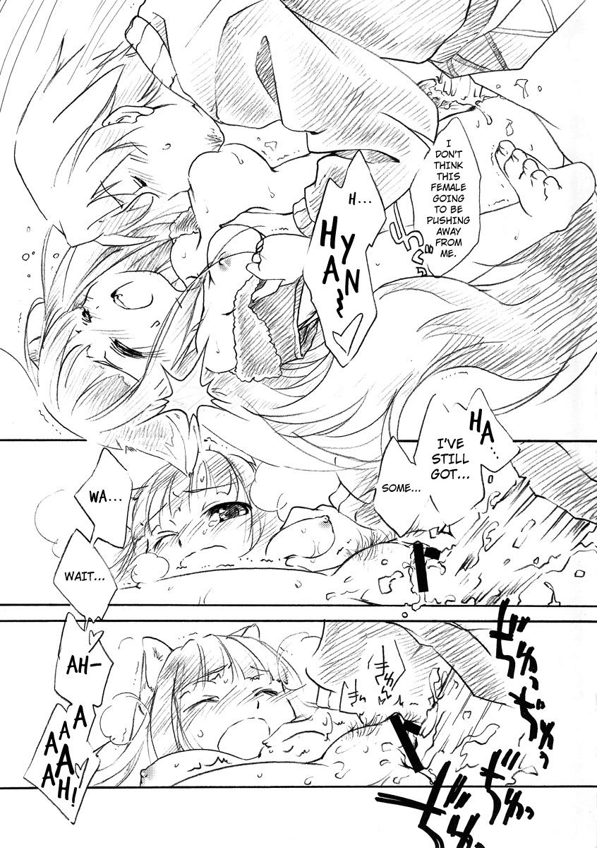 Ookami no Hatsujouki | Wolf and the Rutting Season   =Strange Companions= page 10 full