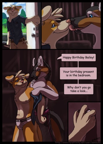 [Zambuka] Birthday present cover