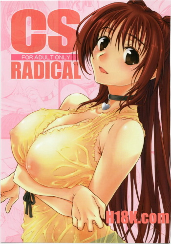 (C79) [Yamaguchi Print (Tamaki Yayoi)] CS RADICAL (ToHeart 2) [Korean] cover