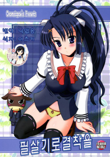 (C73) [Onomatopoeia (Yokoi Rego)] Hissatsuwaza de Kecchaku wo (Nagasarete Airantou) [Korean] cover