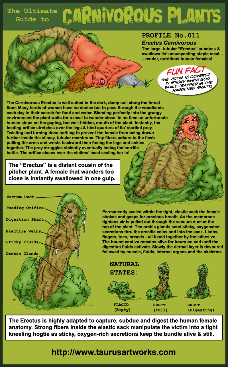 Carnivorous plants page 11 full
