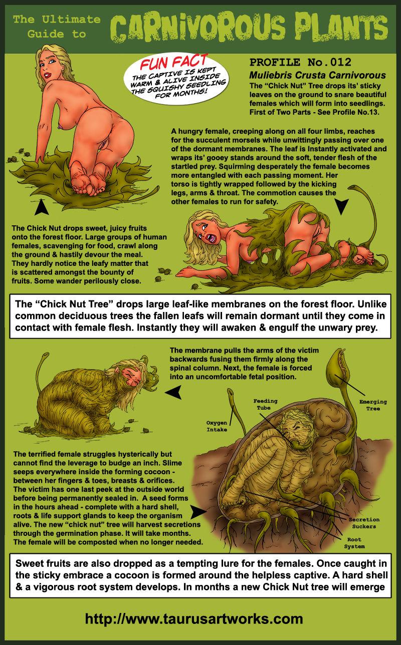 Carnivorous plants page 12 full