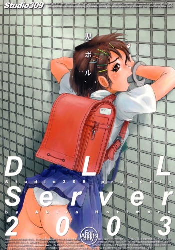 [Studio309] DLL Server 2003 cover