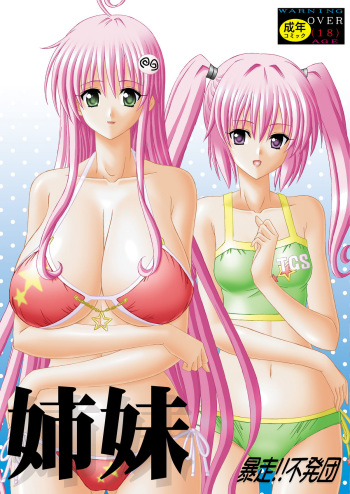 [Bousou!! Fuhatsu-dan (Takai Biki)] Shimai (To LOVE-Ru) cover