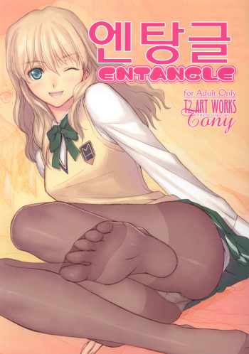 (C71) [T2 ART WORKS (Tony Taka)] Entangle (Zegapain) (korean) cover