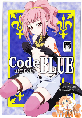 (C74) [Zi (Mutsuki Ginji)] CodeBLUE (CODE GEASS: Lelouch of the Rebellion) [Korean] [Team HA-NU] cover