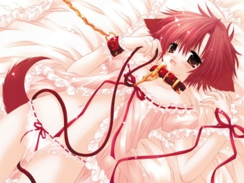 Catgirl Hentai Wallpaper cover