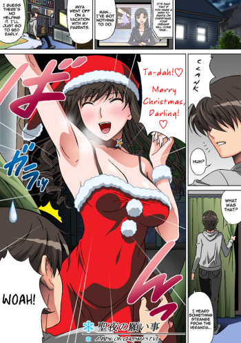 [Selene (Rudoni)] Seiya no Negaigoto | A Wish on Christmas Eve (Amagami) [English] =LWB= cover