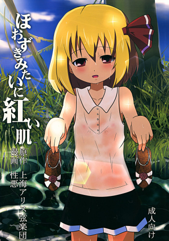 (C80) [Wasshoi☆Koubou] Hoozuki Mitai ni Akai Hada (Touhou) cover