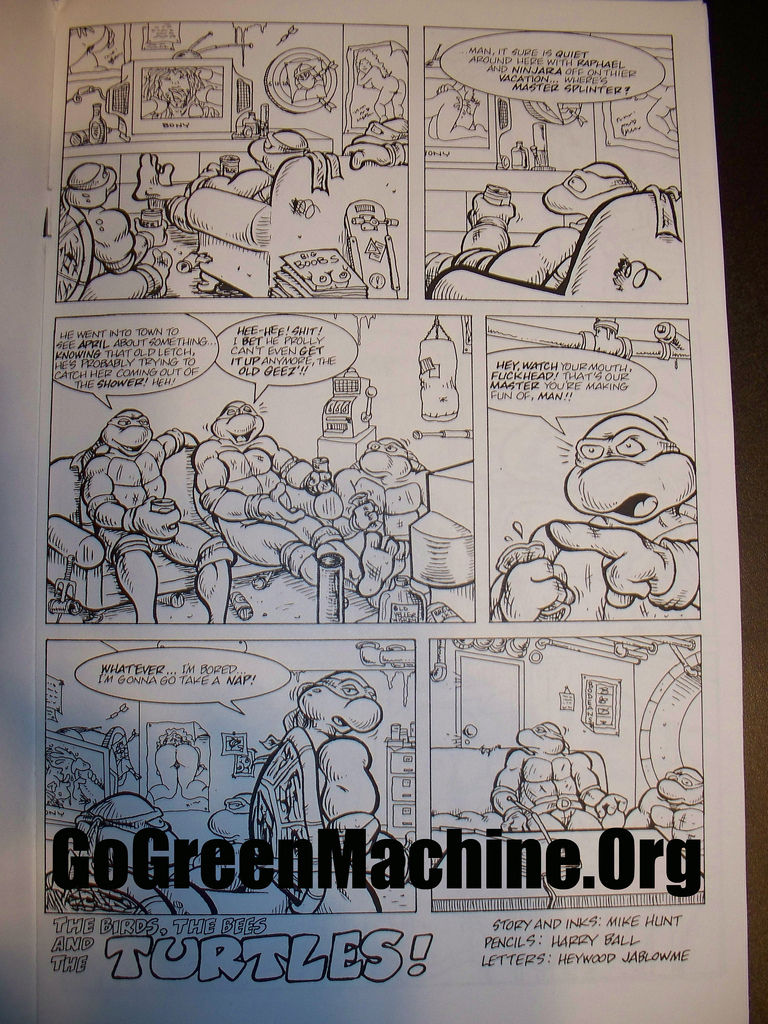 The Birds, The Bees and the Turtles! page 3 full