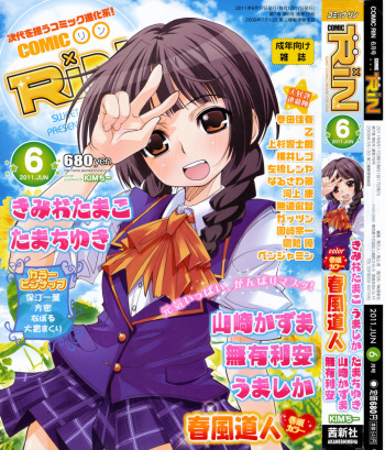 COMIC RiN 2011-06 cover