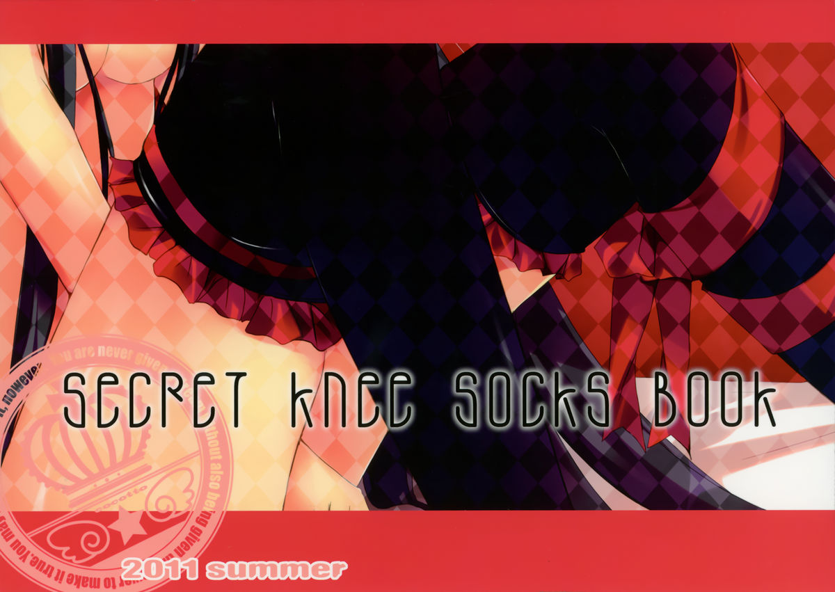 Secret Knee Socks Book page 2 full