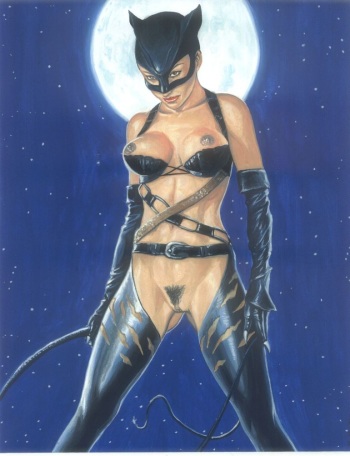 Random Bat-pics cover