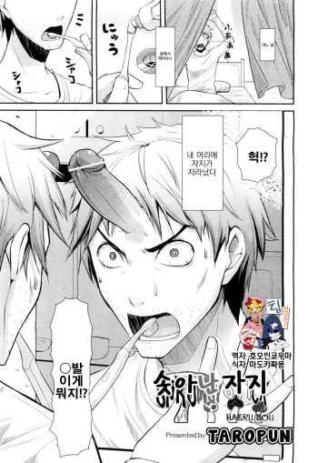 [Taropun] Haeru Bou | 솟아난자지 (COMIC Aun 2012-03) [Korean] [팀 애갤러스] cover