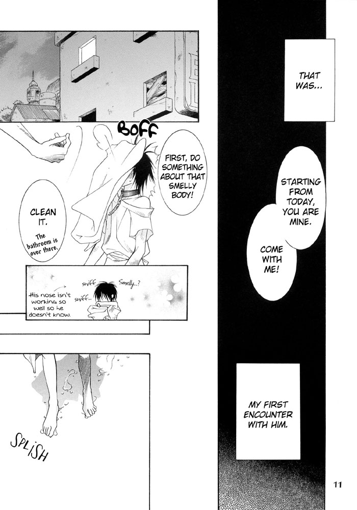 Strobolights page 10 full