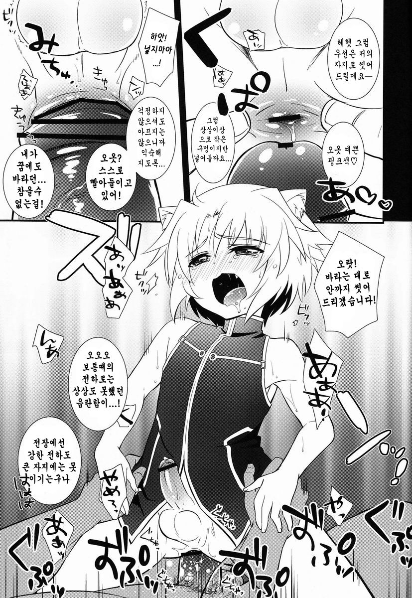 Gaul-denka no Senshou go Houbi page 11 full