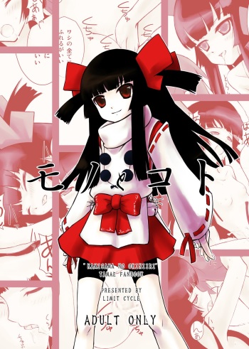 (C73) [LIMIT CYCLE (Kasiwagi Kazuhiro)] Mono to Koto (Touhou Project) cover