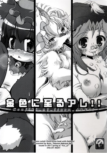 (Fur-st) [Hinaprin, Cat Expert, BINMALO (Ikuta Takanon, Nekousa, Beti)] Konjiki ni Itaru Are!! (Breath of Fire IV, Touhou Project) cover